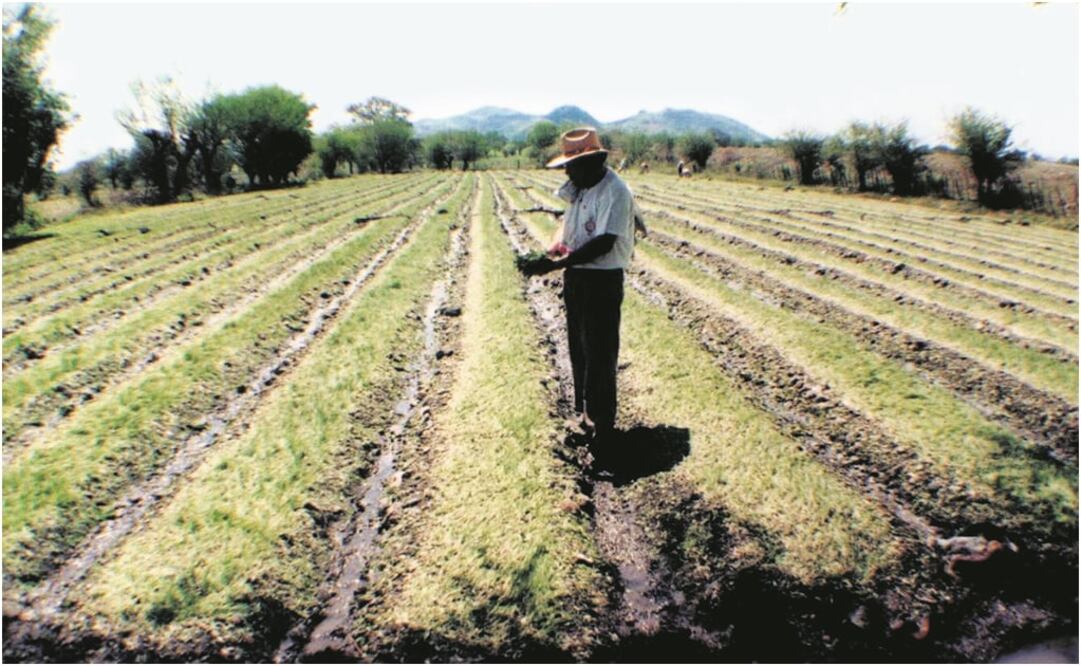 Foto. archivo/ EL UNIVERSAL