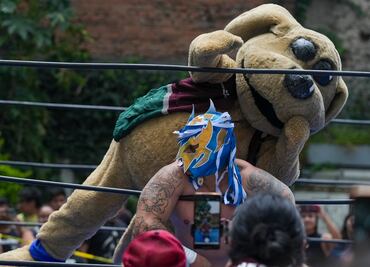FOTOS Wisin, el “perrito luchador" mexicano que la está rompiendo en el ring y redes sociales