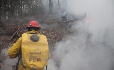 Incendios han consumido 15 mil 600 hectáreas forestales en Nuevo Léon