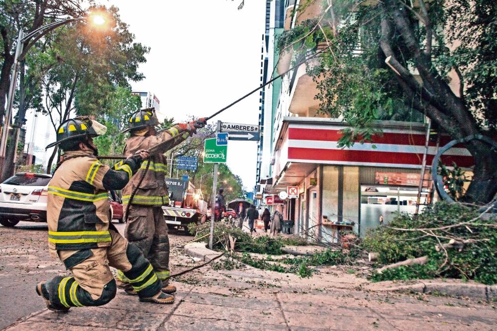 En la avenida Paseo de la Reforma también se registró la caída de varios árboles lo que ocasionó que se intensificar el tráfico vehicular, debido a los trabajos de limpia que desarrolló el cuerpo de Bomberos de la ciudad (CRISTOPHER ROGEL. EL UNIVERSAL)