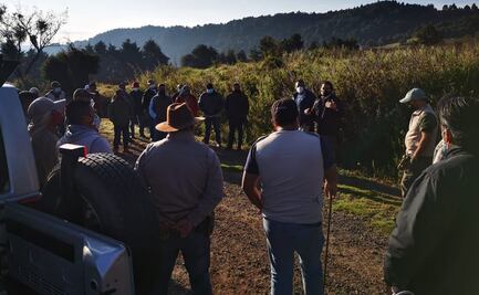 Lobo gris escapa de albergue en Tenancingo; inician búsqueda para hallarlo sano y con vida