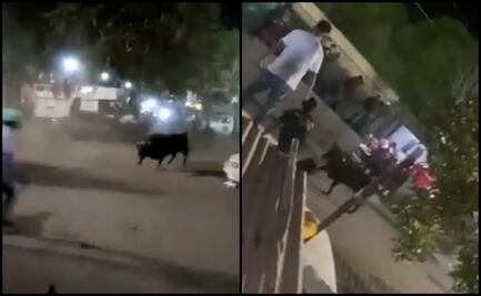 Toro escapa de una corrida y causa temor en Chumayel, Yucatán
