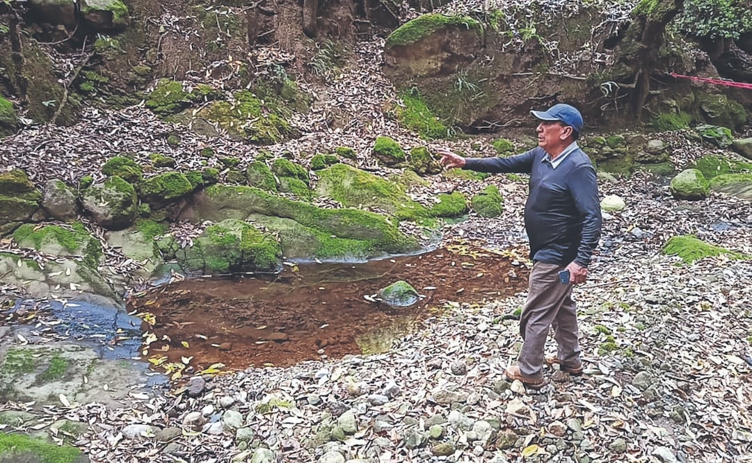El olor a combustible se percibe desde el primer ojo de agua del manantial, ubicado unos metros abajo del kilómetro 28+100 de la autopista Naucalpan-Toluca. Foto: Gisela González Granados