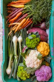 Saborea a la primavera desde la raíz con la cocina de proximidad