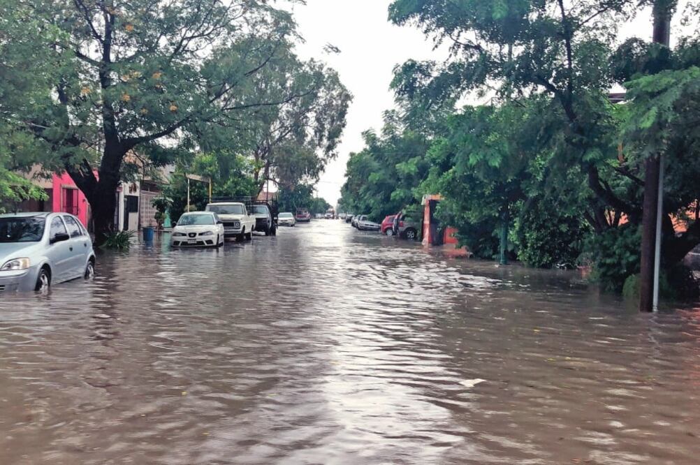 Estragos. El aguacero provocó la caída de árboles y la anegación de las calles, lo que impidió que la gente saliera de sus casas. Foto: FRANCISCO RODRÍGUEZ. EL UNIVERSAL