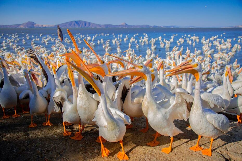 Foto: Sectur Michoacán