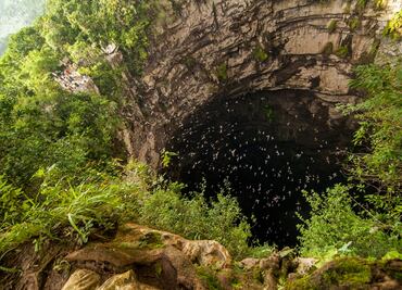 Anuncian nuevo vuelo entre la Ciudad de México y la Huasteca Potosina