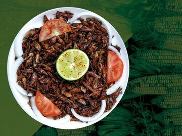 Come chapulín de milpa y evita la obesidad