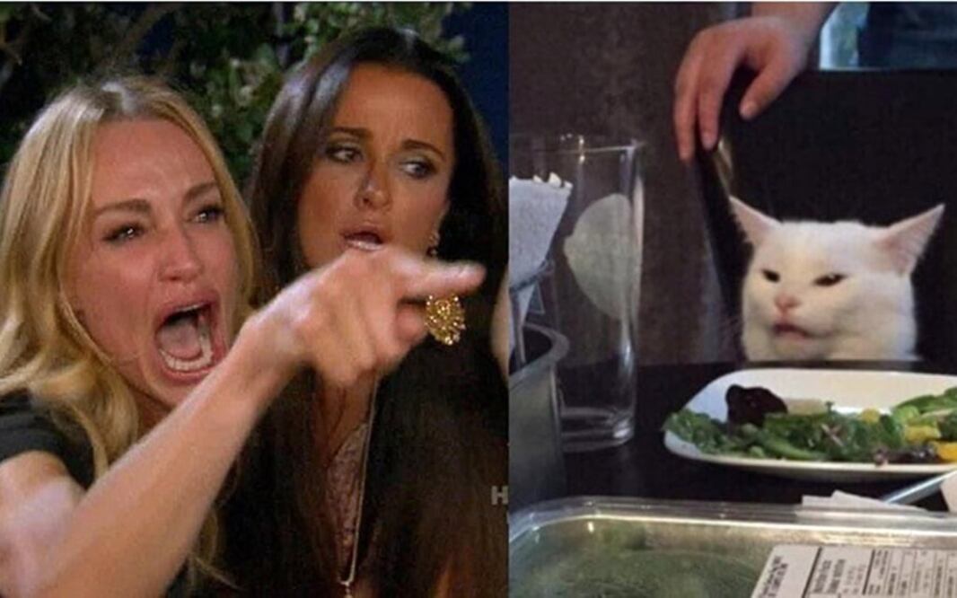 El meme del gato en la mesa ha invadido las redes sociales 