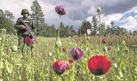 Sí, México es un narcoestado: expertos