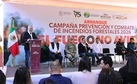 Michoacán reduce más de 60% la superficie afectada por incendios forestales; gobierno destaca respuesta inmediata