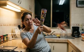 Calor, humedad y plagas; todo sobre las cucarachas voladoras y la guía para eliminarlas rápido de tu casa