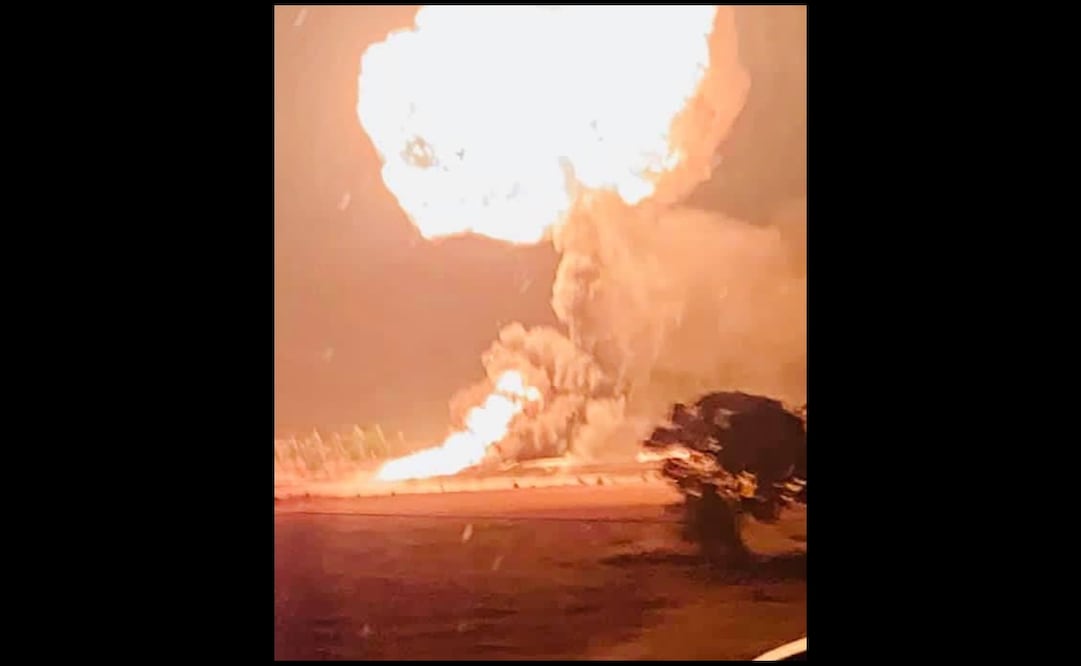 Foto: Cortesía Sergio Curiel