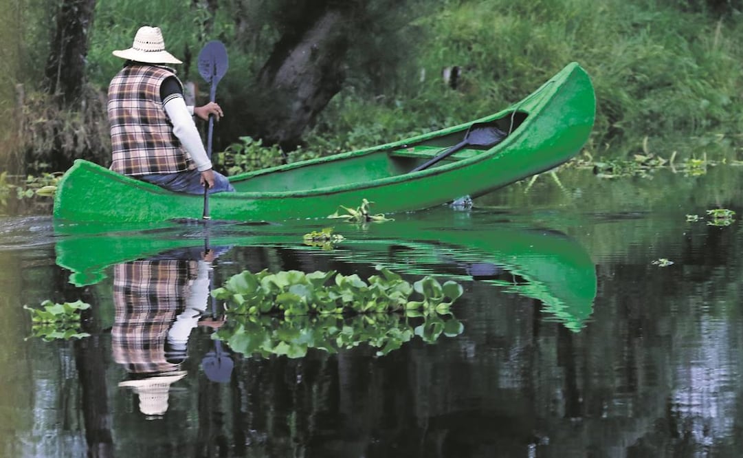 La alcaldía Xochimilco busca apoyar a los productores agrícolas que tienen sus unidades en la zona chinampera.Foto:Archivo/EL UNIVERSAL
