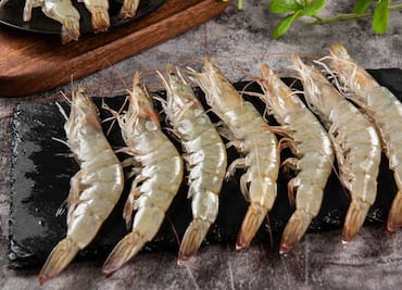 “El mundo tiene un gusto más refinado”, responden camaroneros de Ecuador a Sheinbaum; critican “la nostalgia por lo local”