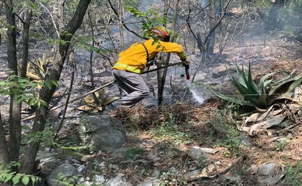 Incendios consumen 90 hectáreas forestales en Nuevo León