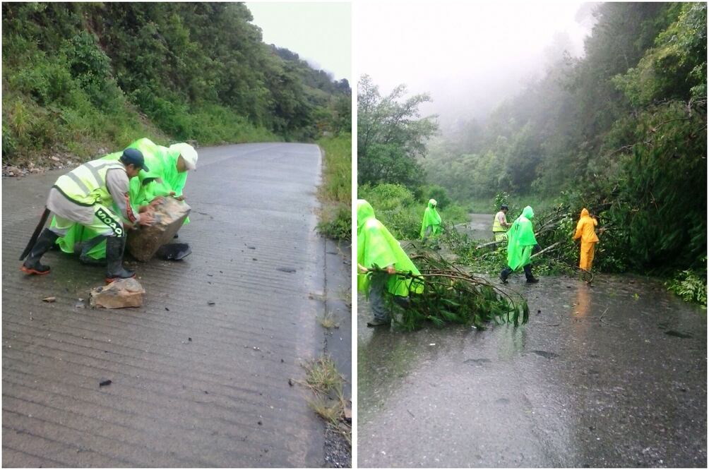 Foto: Dinorath Mota / EL UNIVERSAL