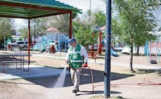 Alertan por aumento de enfermedad por garrapatas en Juárez