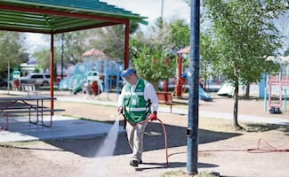 Alertan por aumento de enfermedad por garrapatas en Juárez