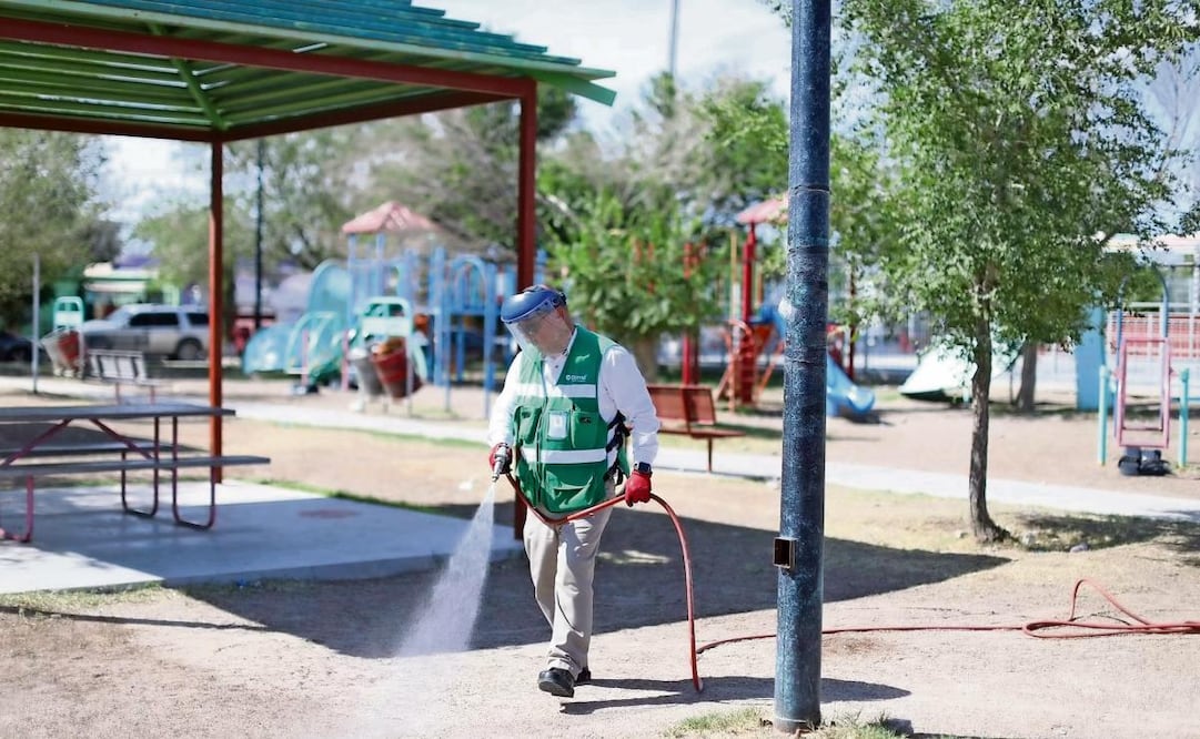 Alertan por aumento de enfermedad por garrapatas en Juárez