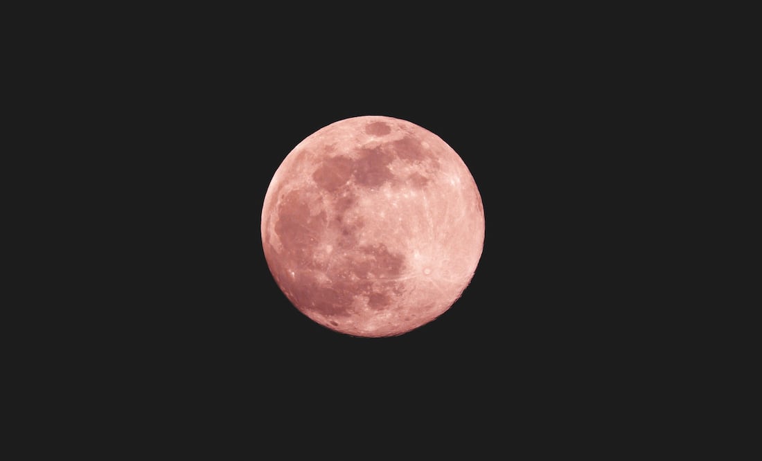 La luna rosa se relaciona con el florecimiento de las phlox salvajes en primavera, ¿te la vas a perder? / Foto: Unsplash