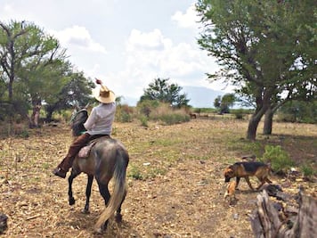 El helicóptero les dio a todos, afirman