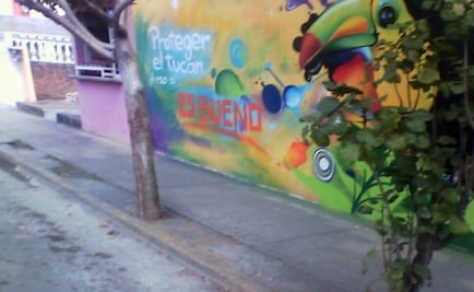 Pintan bardas a favor de Bueno Torio en Veracruz