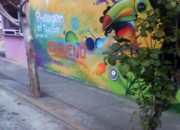 Pintan bardas a favor de Bueno Torio en Veracruz