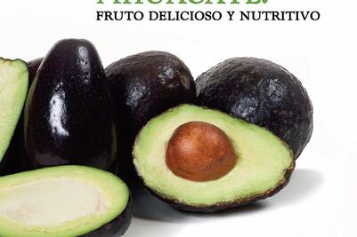 Difunden historia del aguacate e importancia de su consumo