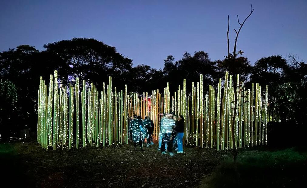 Foto: Omar Moreno. El Universal