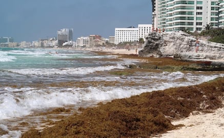 Reportan que sargazo en Quintana Roo llegó a su punto más crítico en siete años