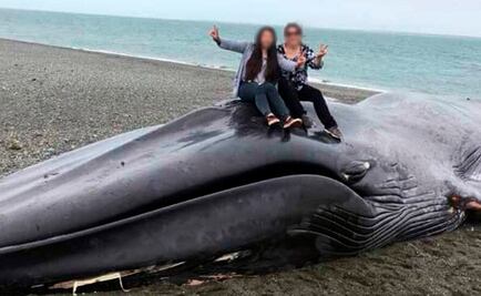 'Grafitean' con cuchillo a ballena varada en Chile y se toman selfie sobre ella