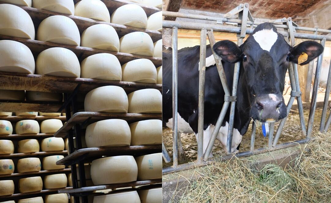 Fotos: Raquel del Castillo