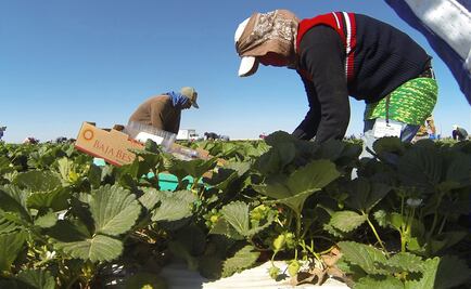 Instala Sedatu Consejo de Desarrollo Agrario en BCS 