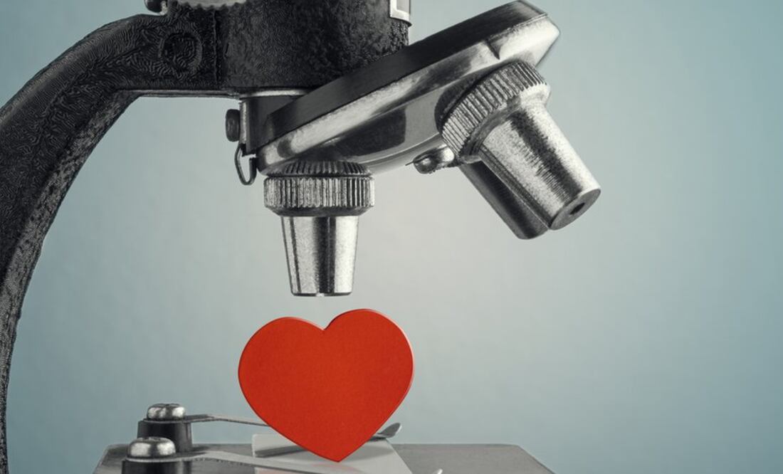 Cómo tu ADN influye en tus decisiones sobre el amor