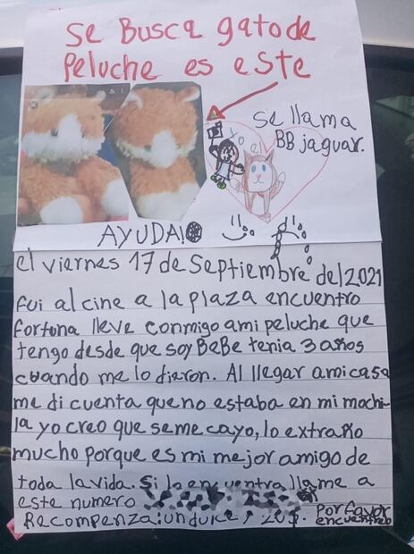 Niña pide ayuda para encontrar a "BB jaguar"; ofrece un dulce y 20 pesos como recompensa