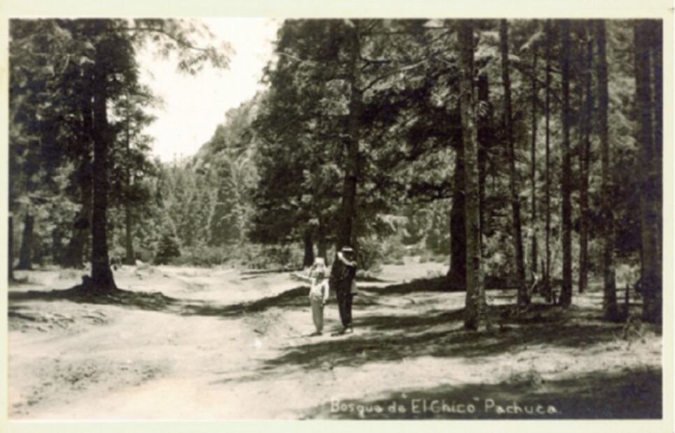 La belleza de nuestro primer Bosque Nacional 