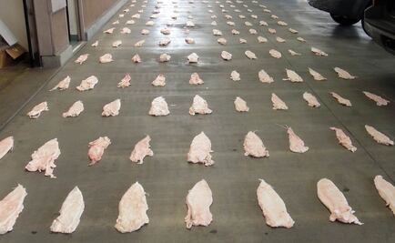 Profepa detiene a pescadores por tráfico de totoaba