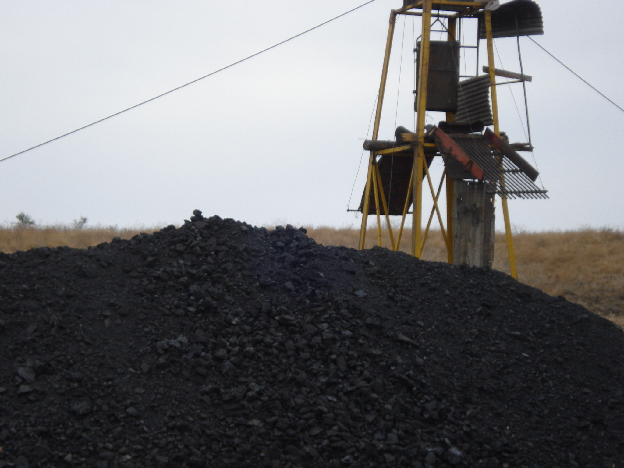 Foto: archivo/EL UNIVERSAL