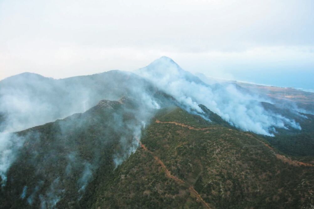 Repercusiones. El fuego se propagó en el paraje La Pe d re ra –Cerro Roca de Oro, del municipio de Alto Lucero, Veracruz. Foto: ARCHIVO EL UNIVERSAL