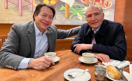 Adán Augusto López me compartió que que reforma electoral saldrá adelante: Mario Delgado 