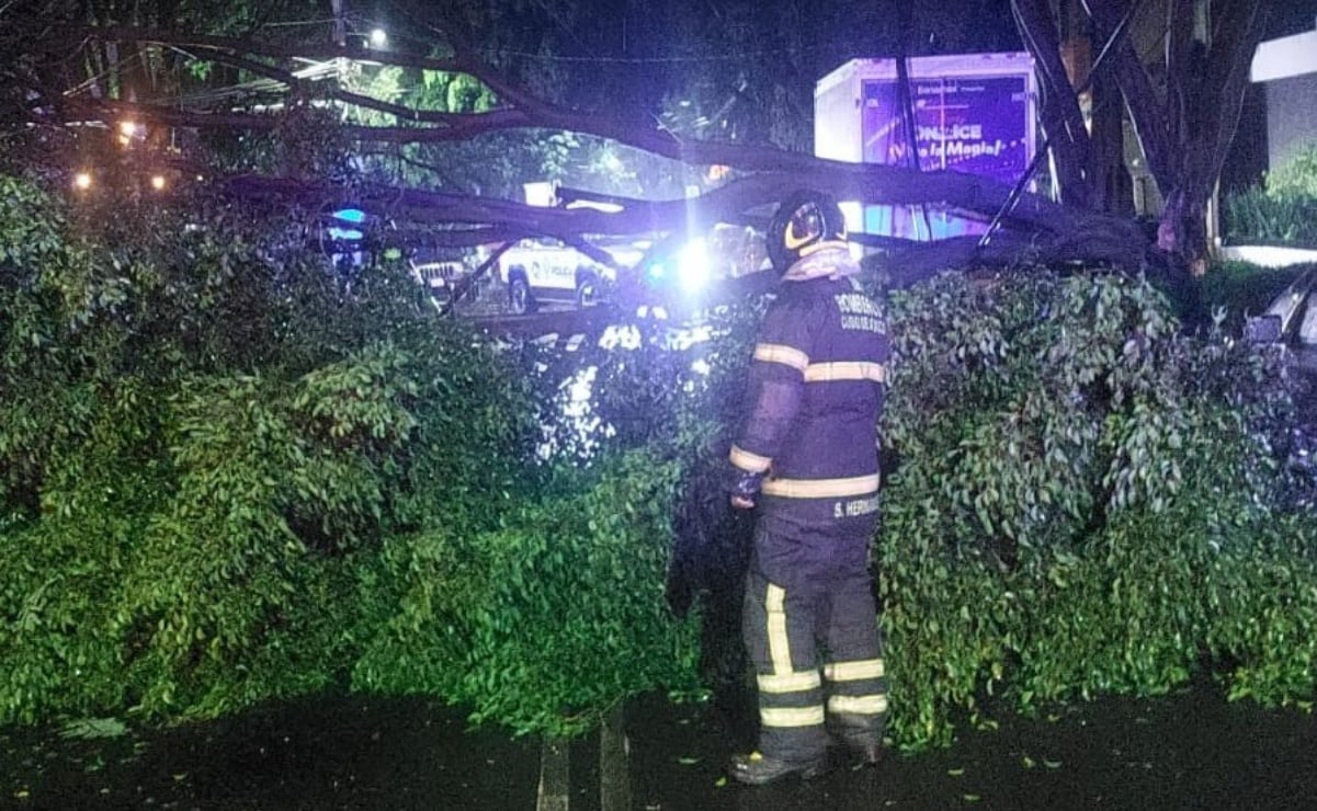 ⛈️ Madrugada complicada en la CDMX

Reportaron árboles y pos