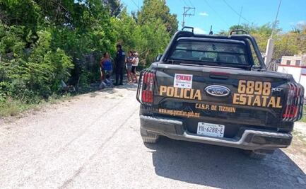 Nuevos casos de crueldad animal en Yucatán; envenenan a 4 perritos y otros dos son atacados con arma de fuego