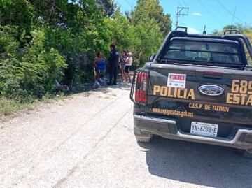 Nuevos casos de crueldad animal en Yucatán; envenenan a 4 perritos y otros dos son atacados con arma de fuego