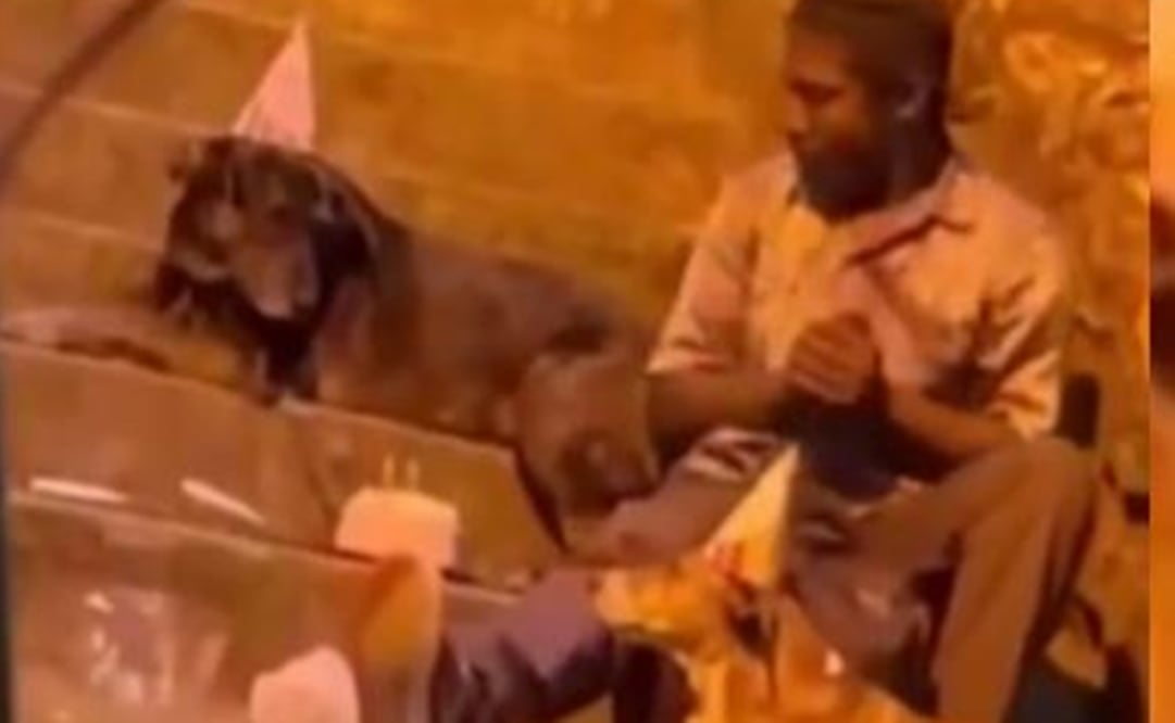 El habitante de la calle celebró el compleaños a sus mascotas.   Foto: Tomada del video 