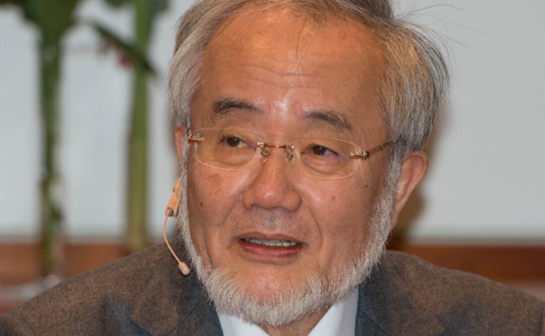 Yoshinori Ohsumi, Premio Nobel de Medicina en 2016. Foto: Creative Commons Attribution 2.0 Generic license/Wikipedia.