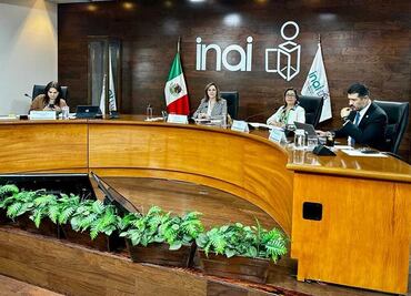 Con situación del INAI, no solo está en juego la institución, sino la garantía de dos derechos: Ibarra Cadena