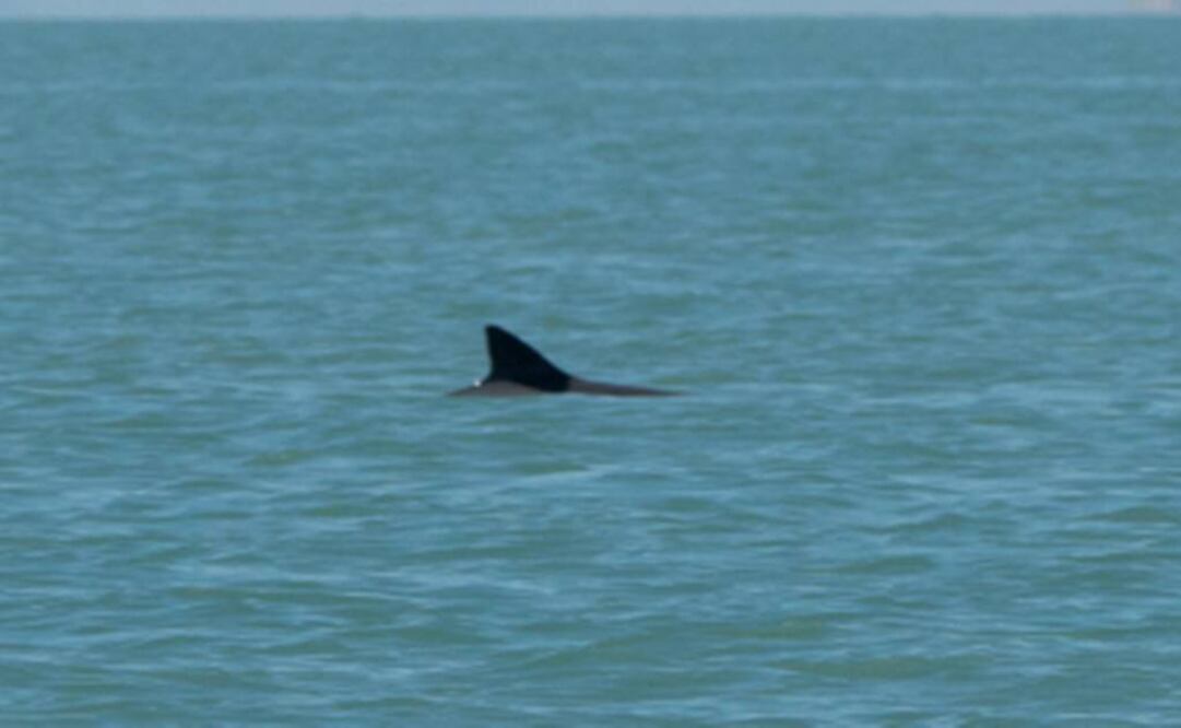 Foto: www.presidencia.gob.mx