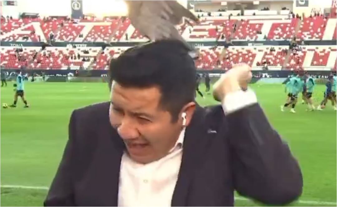 FOTO: ESPECIAL - Reportero de ESPN es atacado por una paloma; no pudo evitar gritar del miedo