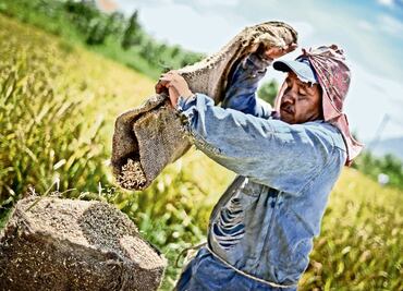 Autoridades rechazan la venta de arroz de plástico